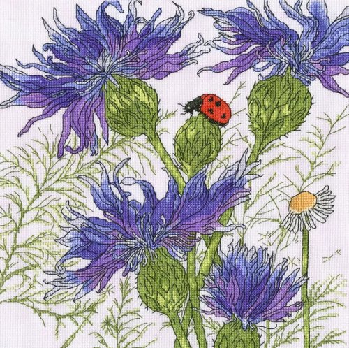 (image for) Cornflower Garden